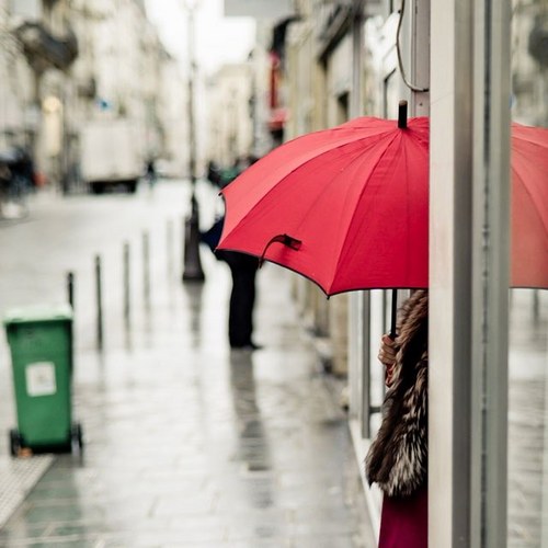 mannjal's profile picture. if you chase two rabbits at the same time you will loose them both...