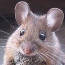 heidi mcmanus - @McmanusHeidi - Twitter