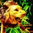 ichiy_o's profile image