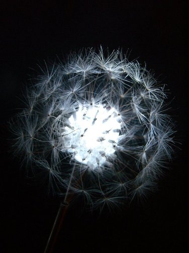 smith_francesca's profile picture. theatre artist director/dramaturg/writer @ Just Visiting dedicated to making occasional works of rare beauty according to the rules of Fran