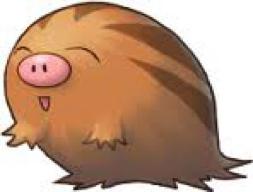 LittleSwinub's profile picture. I an Manny the Swinub!I am male and my twainer is @MeiRPA ^.^ (RP)