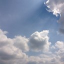 june wheeler - @junehwheeler - Twitter