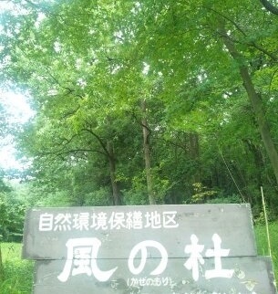 風杜鈴音さんのプロフィール画像