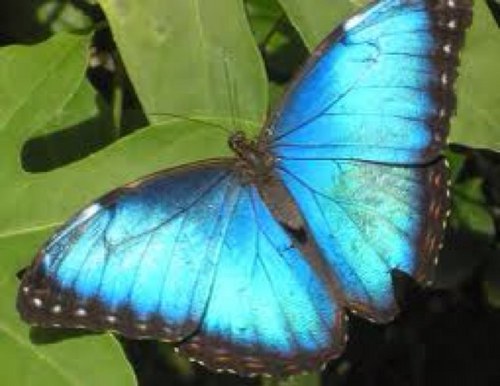 AsiaBri's profile picture. #TeamReal AllAboutMe Bgc7 MzBrownSugar swagger #TeamFab