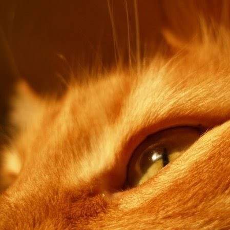 Signo74's profile picture. 