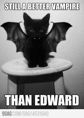 RomainBusalb's profile picture. 