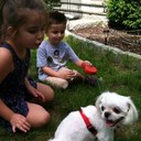 Adi Metalia - @AdiMetalia - Twitter