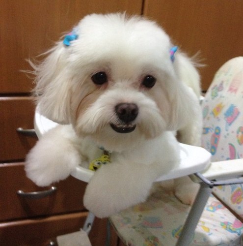 botakai's profile picture. Persistence, never give up!!