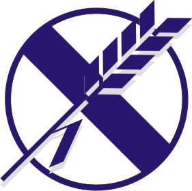 Todo tipo de noticias sobre la celiaquía desde multitud de medios de comunicación, te mandendremos informado! :)