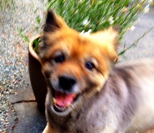 james__leach's profile picture. 