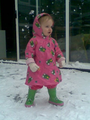 servicesupport1's profile picture. 