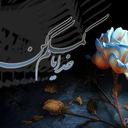 ali - @jaffer_ali4u - Twitter