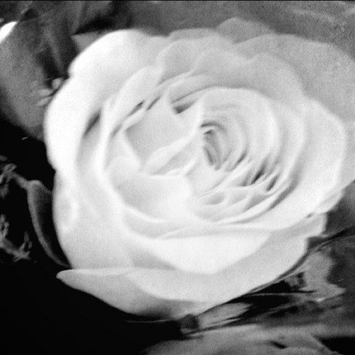 jongjwh's profile picture. 