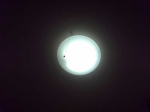 spec4ch's profile picture. 