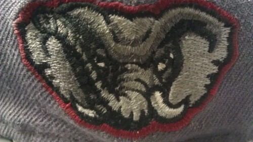 RollTideUtah's profile picture. 