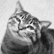 インターフェースデザイナー。アート/システム論/物理学/生物学/経済学/を勉強しています。零細ですが２つの会社の経営に携わっています。