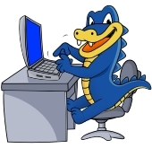 HostgatorCoupo3's profile picture. Hostgator Coupon Codes for great advice for new businesses wanting an online presence. Visit http://t.co/wB03xtBGZU
for more.