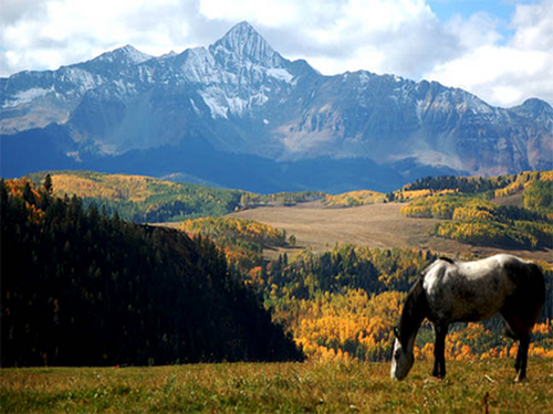 ColoradoTravels's profile picture. Amazing Colorado Travel