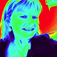 Priscilla Visintine (@pcvstl) 's Twitter Profile