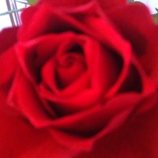 HelenvS76's profile picture. 