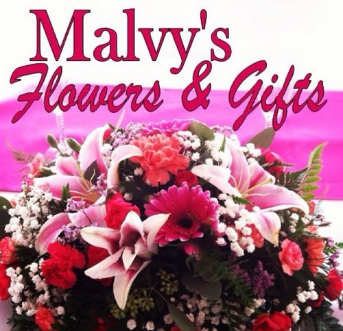 MalvysFlowers's profile picture. Family owned and operated since 1922. Please direct all inquiries to (781) 935-4762 or visit us online.
