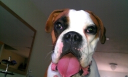 getupah's profile picture. 