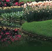 ARGardenCenter's profile picture. We want to help you create a garden home, blurring the lines between indoors & out, expanding your living space into the garden & your garden into your homes.