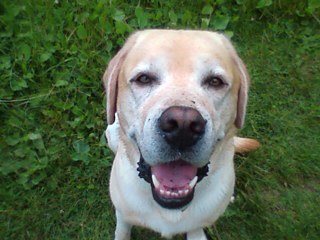 HeatonRoger's profile picture. Clarinettist and Prof of Music at Bath Spa University