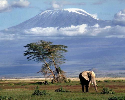 A group of us are attempting to summit Mt Kilimanjaro in aid of the Elise for Life campaign. Follow for regular updates on our journey to date.