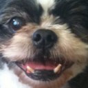 Laurel Stanley - @LarLarStanley - Twitter