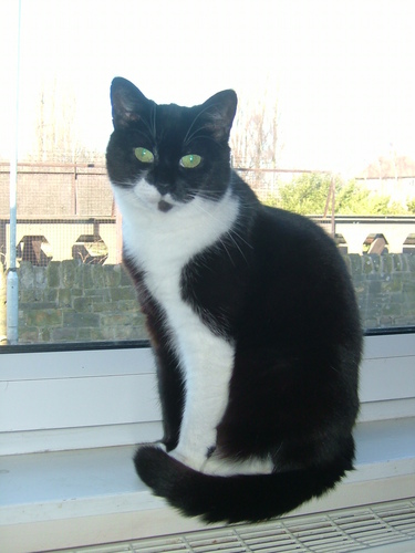 julietoots's profile picture. 64, married ,magnet for waifs and strays, pretty boring really!