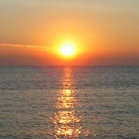 david lloyd (@david_lloyd) Twitter profile photo