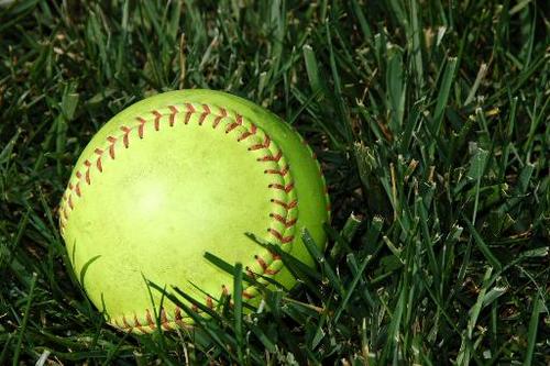 SESftBall's profile picture. 