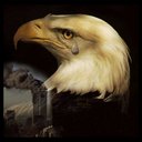 Kati Thomas - @Kati08039449 - Twitter