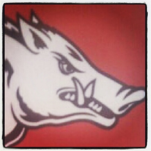 The Unofficial Twitter of the Arkansas Razorback Baseball team.