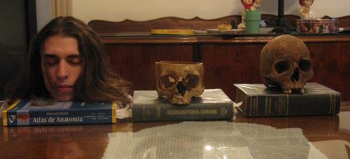 Brunoapa1's profile picture. 