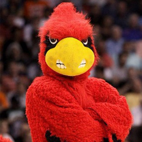 gocards333's profile picture. 