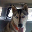 michael estill - @timberwolf1980 - Twitter