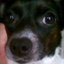 Earl Burnett - @pnut813 - Twitter