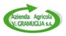Azienda Agricola V. GRAMUGLIA s.s.
azienda boschiva calabrese, specializzata nella produzione di pali, tronchi e cippato.