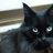 dekocyan1's profile image