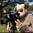 photogmike7's avatar
