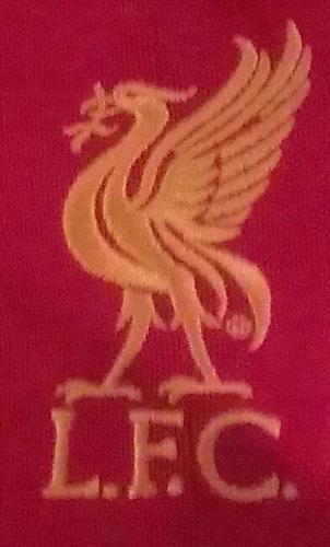 Software architect. Liverpool and Vejle boldklub fan..