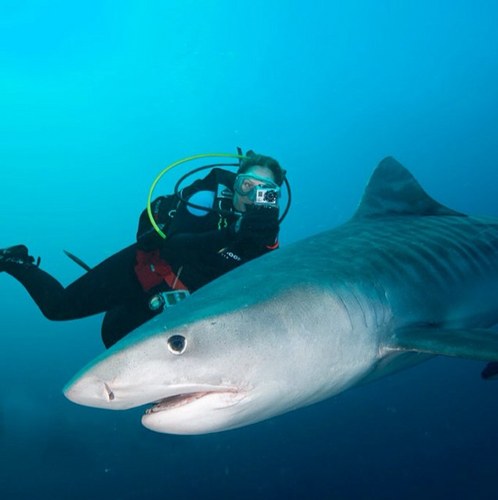 Asknotgetnot's profile picture. 