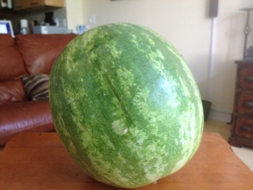 I'm about to eat this watermelon.