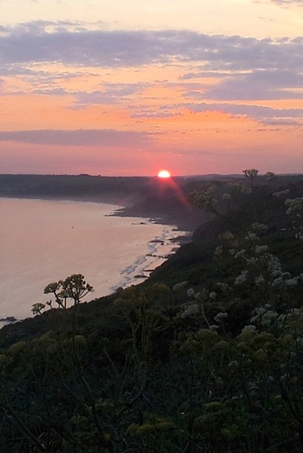 5n0b4ll's profile picture. British First. Many cultures who integrate, many backgrounds, One Identity, Respect it or Move on out, *’*** 🇬🇧🏴󠁧󠁢󠁥󠁮󠁧󠁿🏴󠁧󠁢󠁳󠁣󠁴󠁿🏴󠁧󠁢󠁷󠁬󠁳󠁿🇮🇪