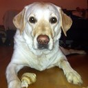 Matt Wardle - @sportfiend - Twitter