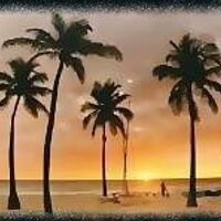Whitney J. Dutton (@southflrealest8) 's Twitter Profile Photo Whitney J. Dutton (@southflrealest8) 's Twitter Profile Photo