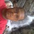 tv2colon's profile image