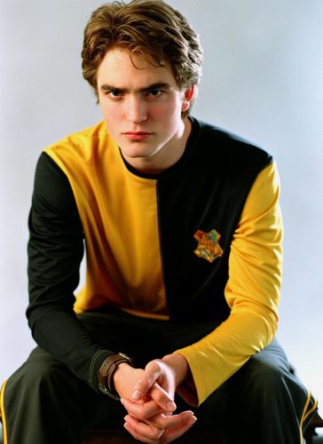 Hufflepuff. In love with Cho Chang. Competed in the Tri-Wizard Tournament. (RP)